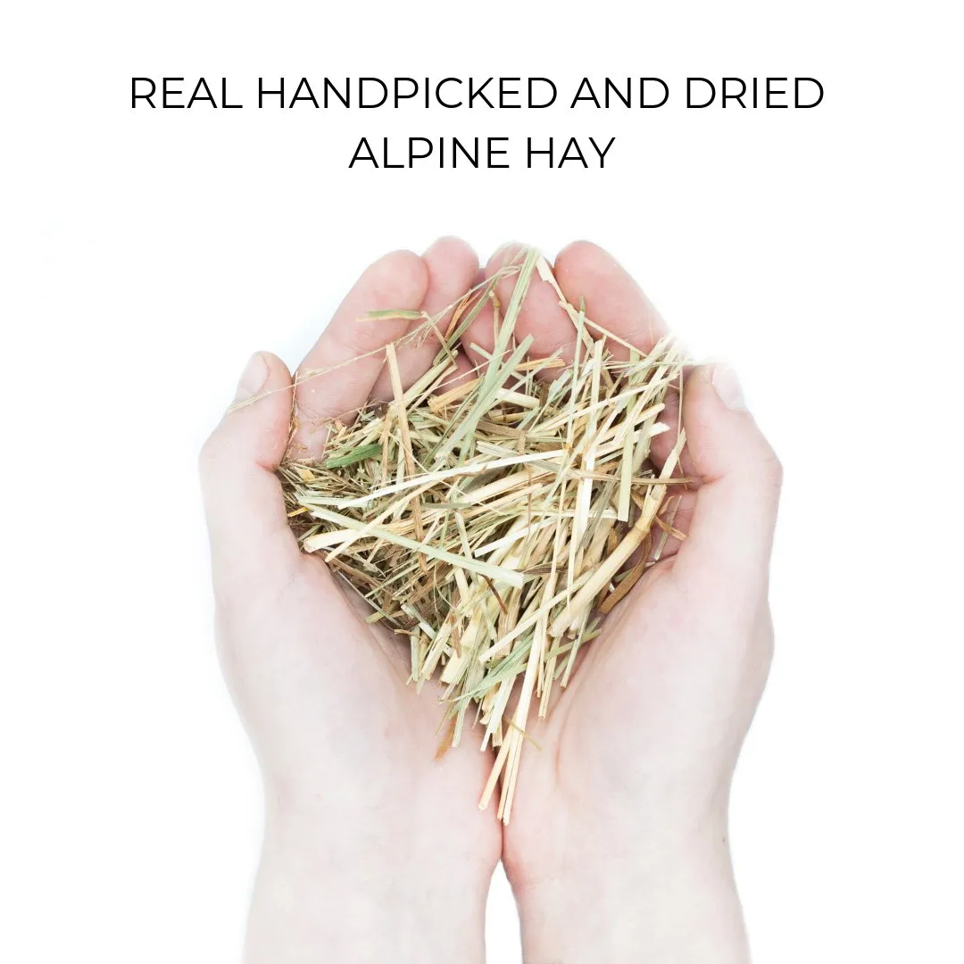 Biodegradable Mobile Phone Case - Alpine Hay