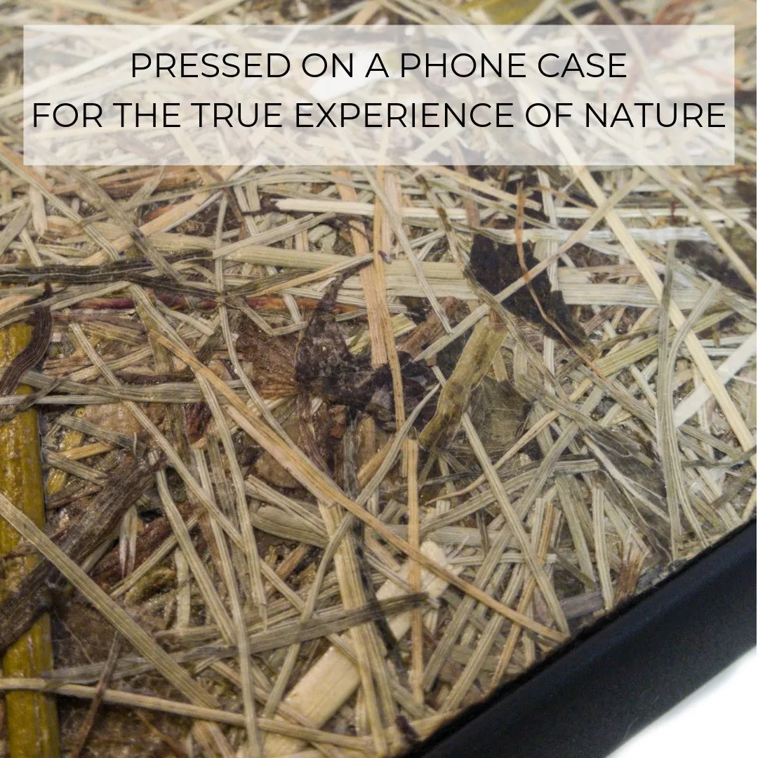 Biodegradable Mobile Phone Case - Alpine Hay